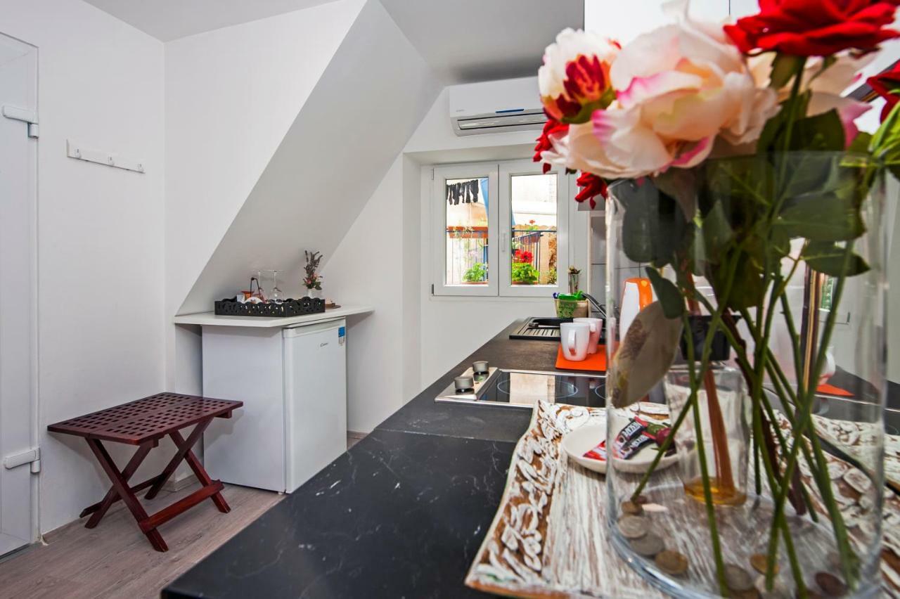 Apartman Delfin Rovinj Eksteriør billede